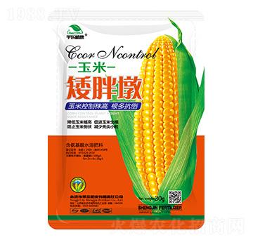 ���װ��ֶ�-ʥ��ʘI(y��)