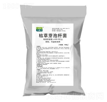 �ݲ�ѿ�ߗU��-�˾���-ǧ��ֲ��