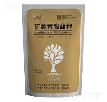 �VԴ�S�����-�ޝ�-�����r��