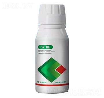 ���H-���H�߿�