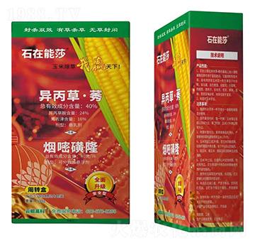 40%�����ݡ�ݬ+40��ÿ�����׻�¡-ʯ����ɯ-���H�߿�