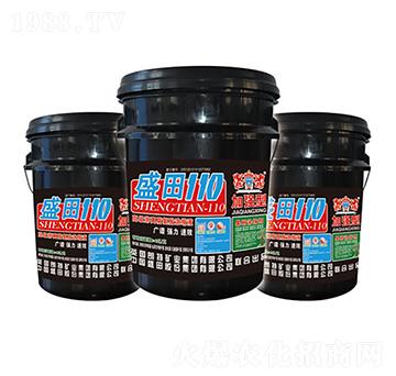 �߼�(j��)���x�������sҺ-ʢ��110-ʢ������