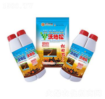 �ֵ���-ʢ������