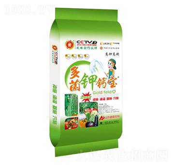 �����}��-ʢ������