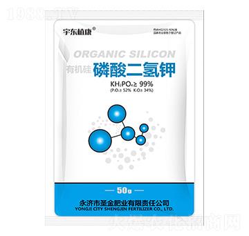 �ЙC����������-ʥ��ʘI(y��)