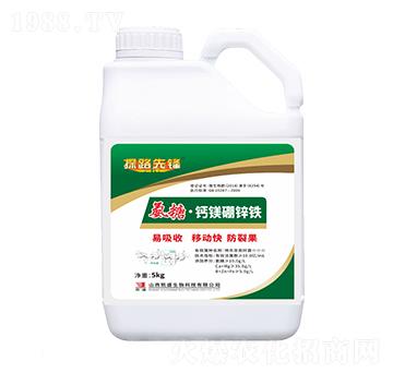 ���ǡ��}�V���\�F-�Pʢ