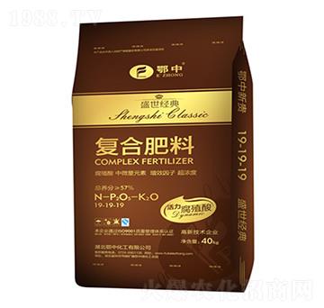 ��(f��)�Ϸ���19-19-1