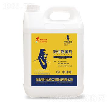 ΢�������-Ǫ��-��