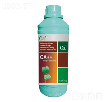 �����ЙC���}��-�Ǵ��}-����S