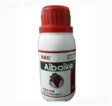 ��˪�t-���ٿ�