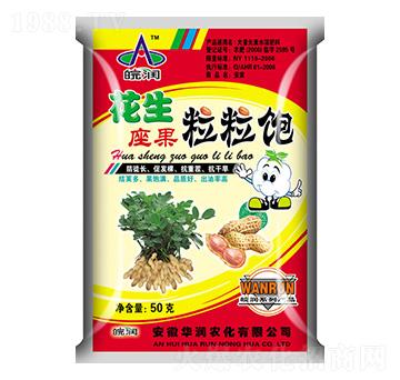 花生粒粒飽-華潤農(nóng)化