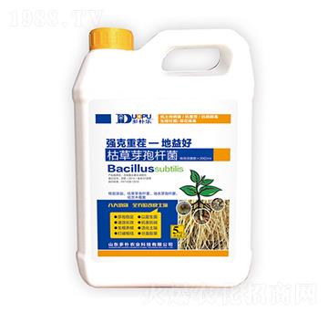 �ݲ�ѿ�ߗU��-�����Ƽ�