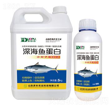 ��~����-�����Ƽ�