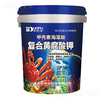 �ͺ��S�����-�����Ƽ�