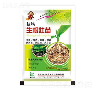 �������������-�����Ƽ�