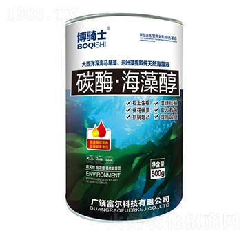 ̼ø�����崼-���Tʿ-�����Ƽ�