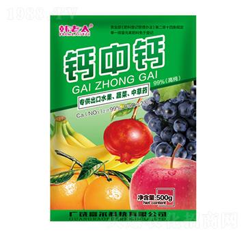 �}���}-�n��̫-�����Ƽ�