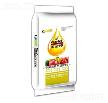 �S���-����-�����Ƽ�