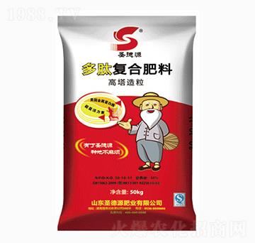 �����������ď�(f��)�Ϸ���30-10-11-ʥ��Դ