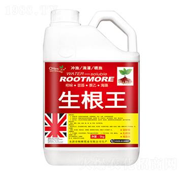 ������-��˲