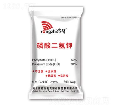 ��������-����-������˹