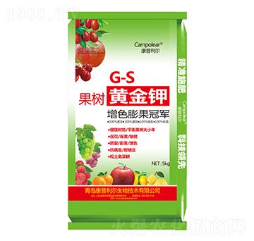 �����S���-��������