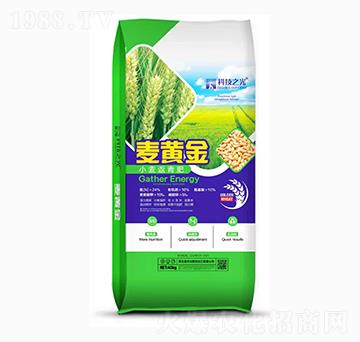 С�������-�Ƽ�֮��-����