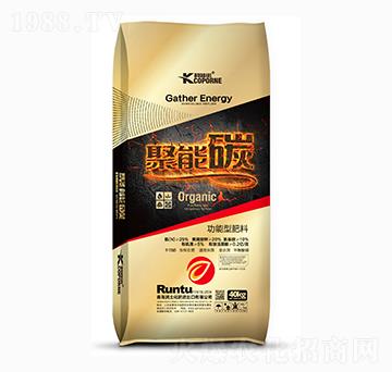 �����ͷ��Ͼ���̼-�����Z-����