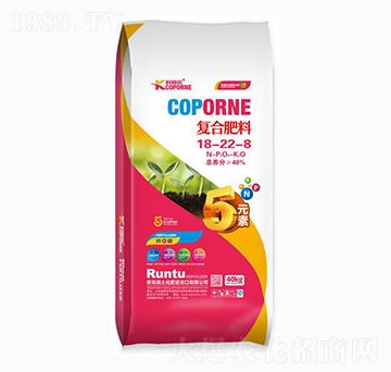 �ͺϷ���18-22-8-�����Z-����