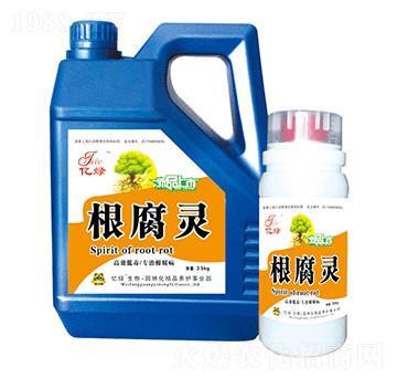 �����`-��(gu��)�����r(n��ng)