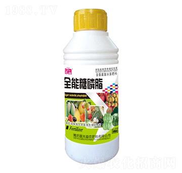 ����֬-��(gu��)�����r(n��ng)