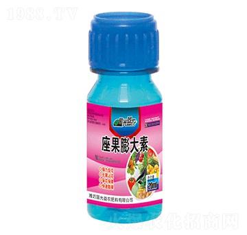 ���������-��(gu��)�����r(n��ng)