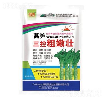 �n�S���ش��ۉ�-�������r