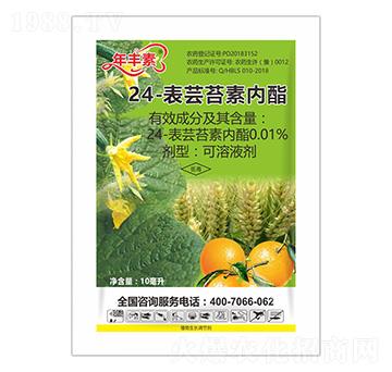 24-���|̦�؃�(n��i)��-��