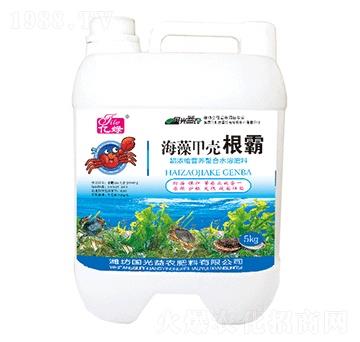 ����ך�����-��(gu��)�����r(n��ng)