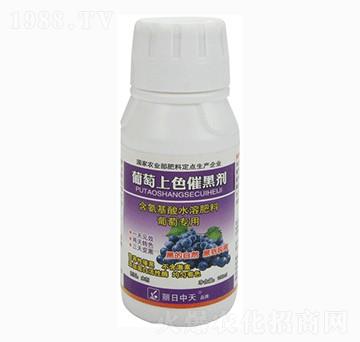 ������ɫ�ߺڄ�-����ʘI(y��)