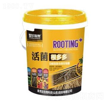 ��������-���_