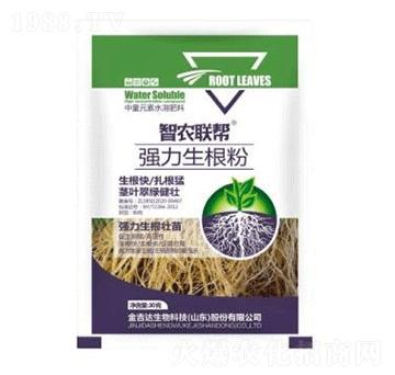 ������-���_(d��)