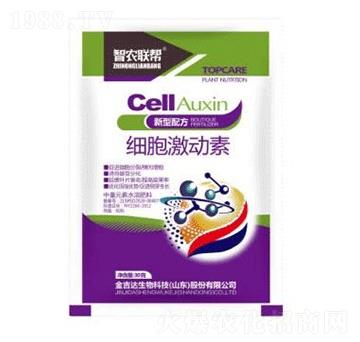 ����������-���_