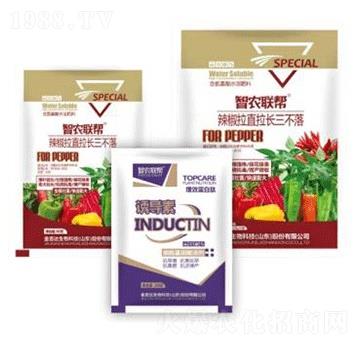 ������ֱ���L������-���_(d��)