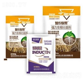 �������焩-���_(d��)