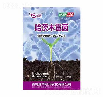 ����ľù��-�Z(y��)�r(n��ng)-���A(li��n)��