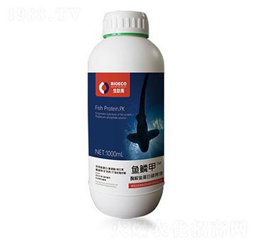 �~(y��)ӯ�T-�~(y��)�[��-������