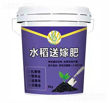 ˮ���ͼ޷�-��ƽ��̼