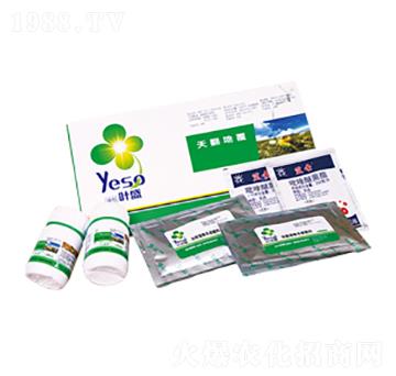 �������ȫ�I�B(y��ng)-�~ʢ����