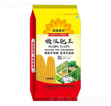 �Нh����-�P��ʥ�A-�P���A