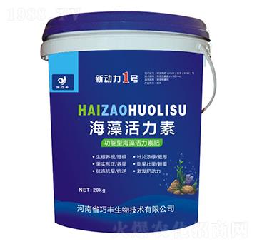 �����ͺ��������-����1̖-ԥ���S