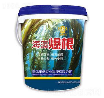 ���屬��-�Z���-�WȻ�r�I(y��)