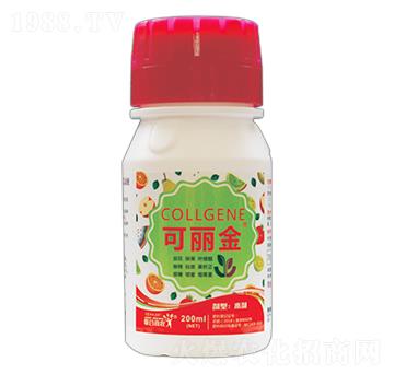 ������-(li��n)��ϲ�r(n��ng)