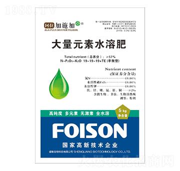 ƽ���ʹ���Ԫ��ˮ�ܷ�19-19-19+TE-������ʩ��-ʢ�Z����